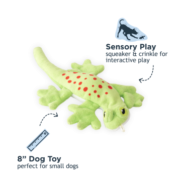 Tall Tails Stuffless Lizard Squeaker Dog Toy