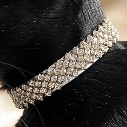 Diamonds After Dark Cat Collar,  Large Size 26