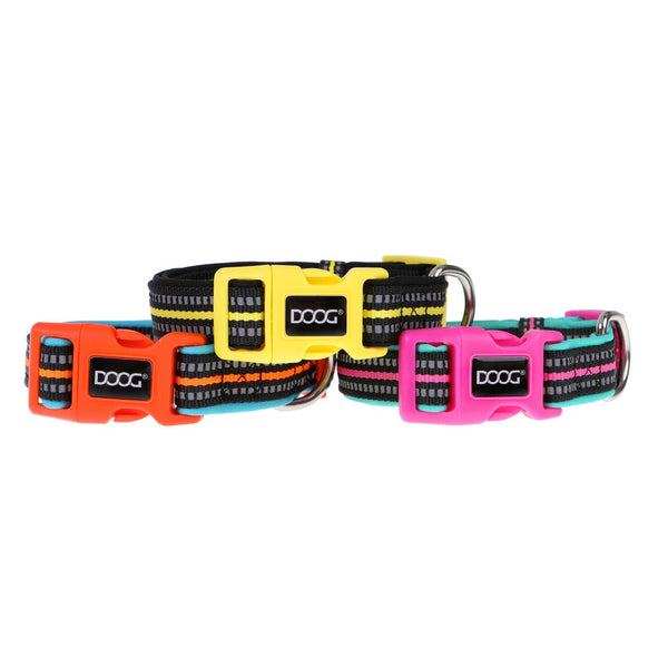 DOOG Neon Dog Collar