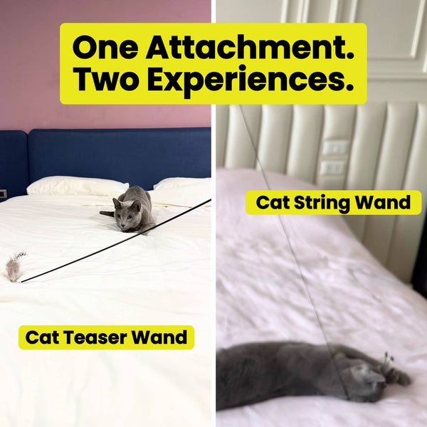Forever Stick Feather Toy Attachment Set (3Pc) Natural Feathers For Cats