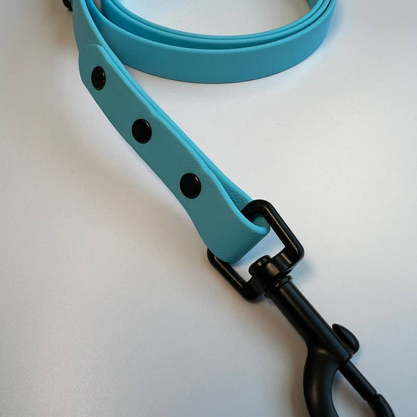 Let's Go Leash Co. Classic Biothane Leash 5'