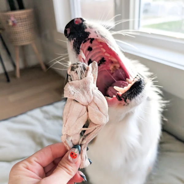 Mimiandsoso Freeze-Dried Frogs Legs