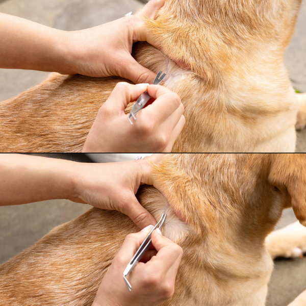 Tweezerman Pet Tick Remover Dual Sided with Case