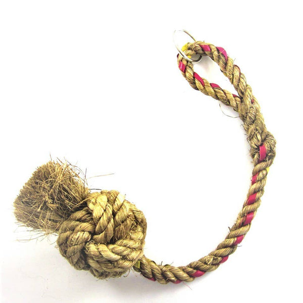 Planet Pleasures Large Swing Around