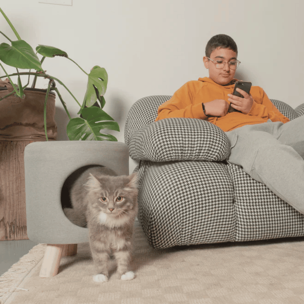 4 Cats & Dogs Footstool