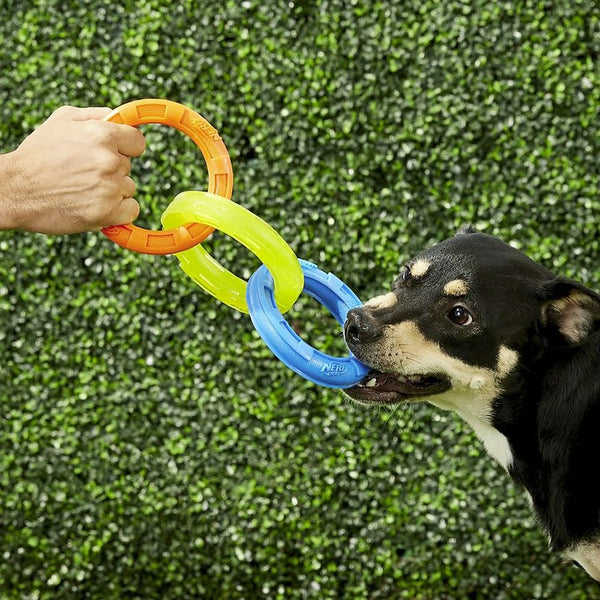 Nerf Dog Three Ring Tug, 9in