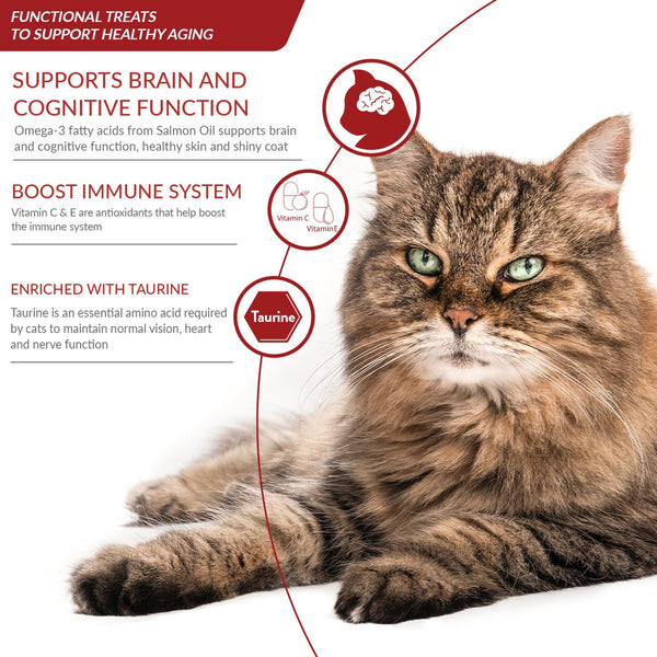 INA Churu Senior 10+ Ckn Variety Box