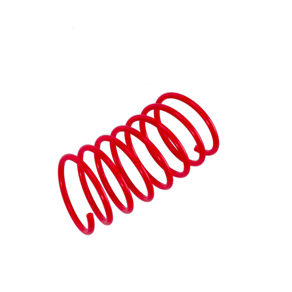Simon's Plastic Spring Cat Toy