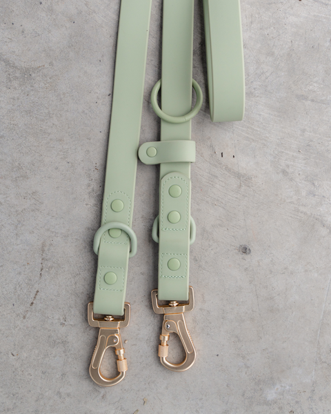 Dexy Paws Waterproof Hands Free Leash 6ft