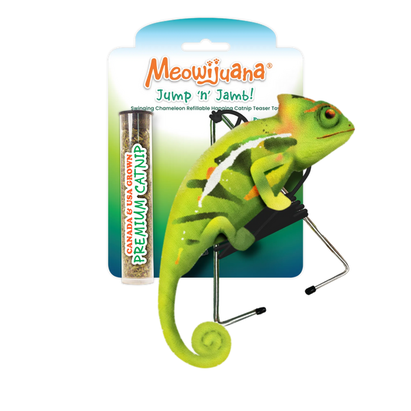 Meowijiwana Jump n Jamb Chameleon