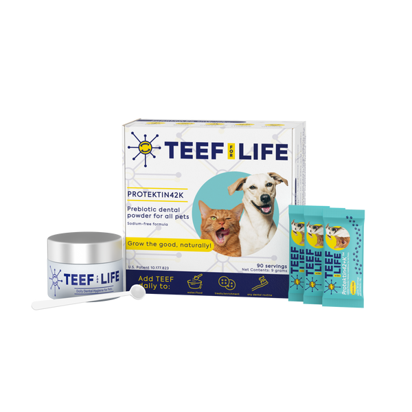 Protektin42K  (Sodium-free)
Prebiotic Dental Powder for All Pets