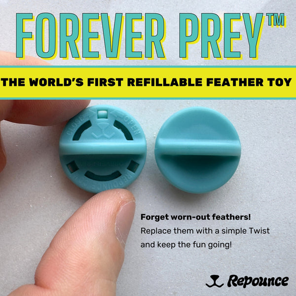 Forever Prey™ - World's First Refillable Feather Toy