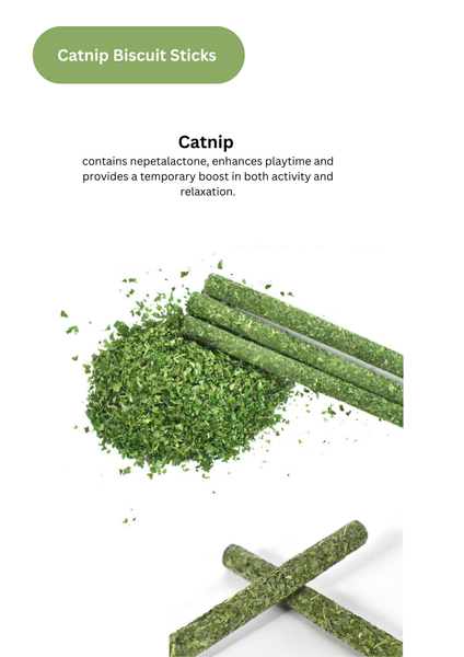 Silvervine Gall Fruit / Catnip Biscuit Sticks - 8pcs