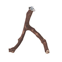 Hari Grapevine Perch