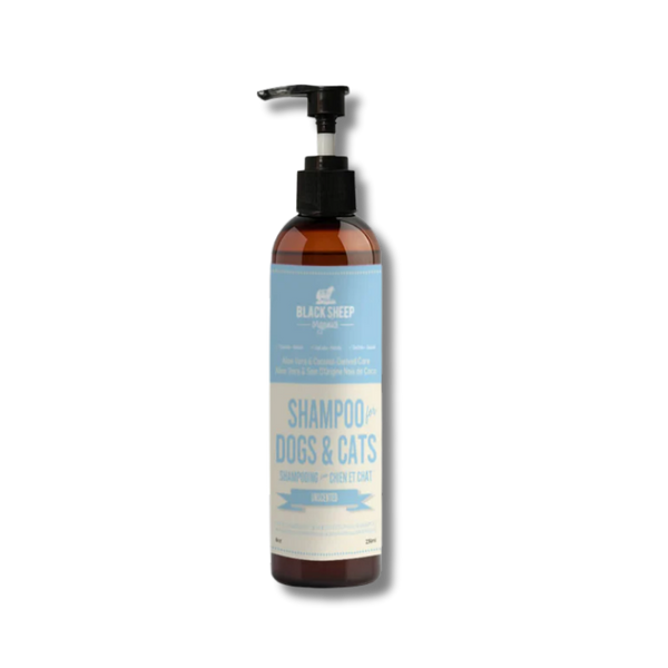 Black Sheep Organics - 2 in 1 - Conditioning Shampoo - Unscented