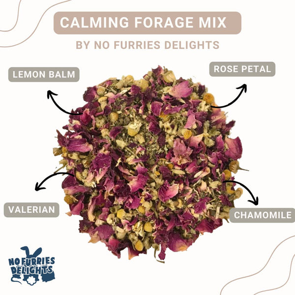 No Furries Delights Calming Forage Mix  (25g | 0.88oz)