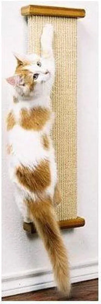 Pioneer Bootsies Combination Scratcher