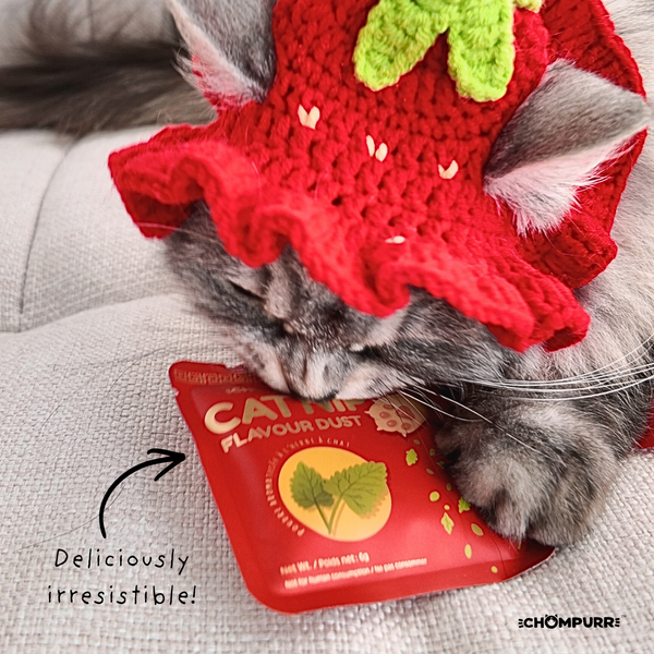 Chompurr Catnip Flavor Dust