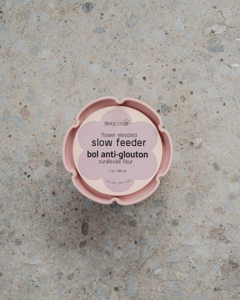 Dexy Paws Elevated Slow Feeder