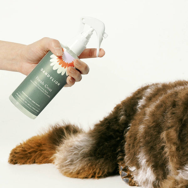 Dandylion Fresh Coat Daily Cleansing Spray