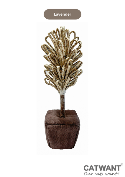 Cat Want Catnip Paper Flower