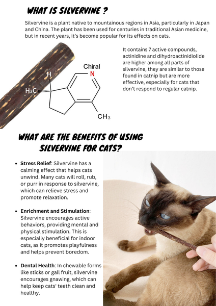 Cat Want Silvervine Sticks 50g Mixed Sizes