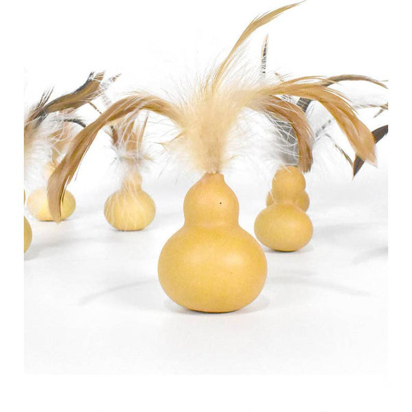 Cat Want Silvervine Gall Fruit Gourd