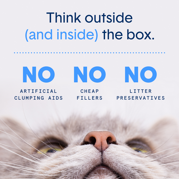 Boxie Cat Premium Clumping Clay 40lb