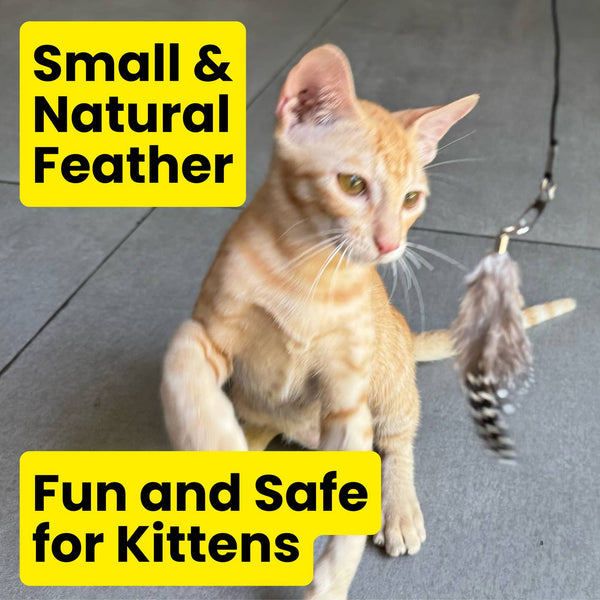 Forever Stick Feather Toy Attachment Set (3Pc) Natural Feathers For Cats