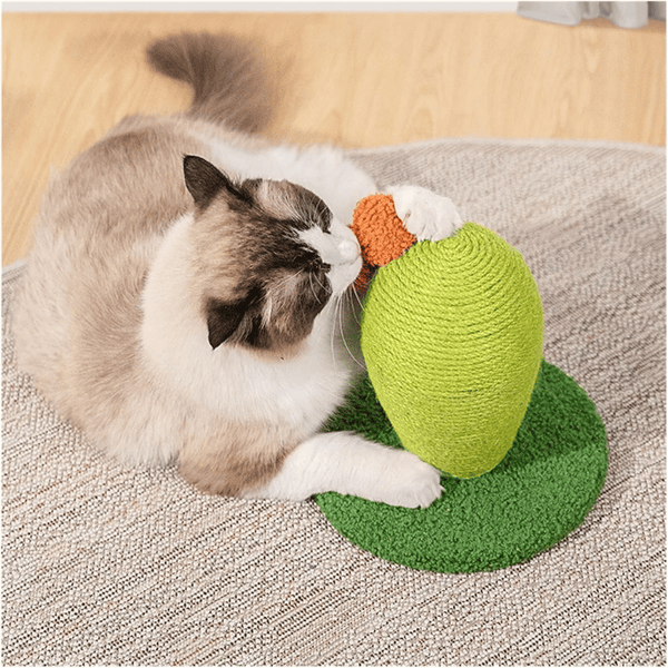 One For Pets - Cat Scratcher - Catcus - Mini