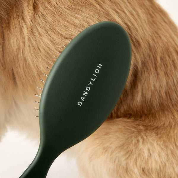 Dandelion Daily Grooming Brush