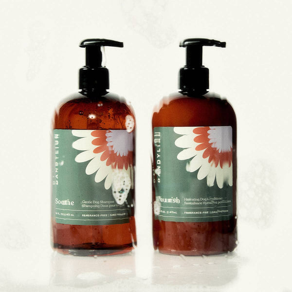 Dandylion Soothe Gentle Dog Shampoo