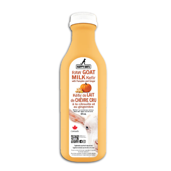 Happydays Raw Kefir with Pumpkin & Ginger