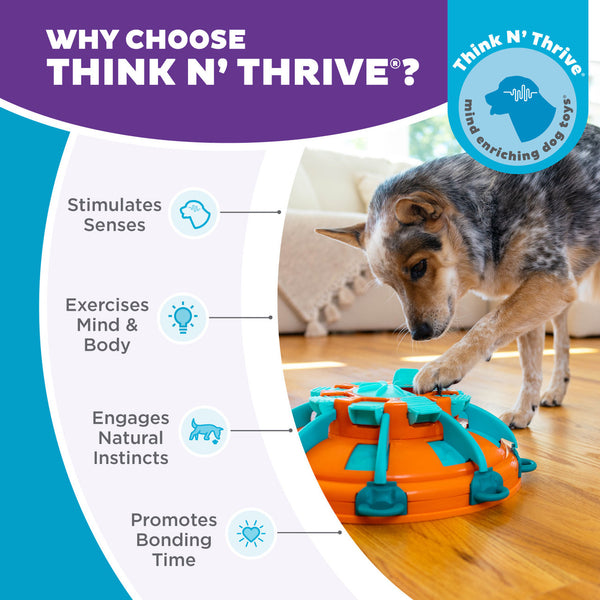 Outward Hound Tower of Treats