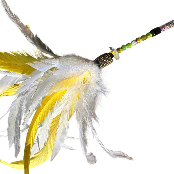 Hello Cocky! Feather Teaser!