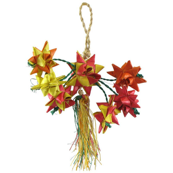 Planet Pleasures Mini Star Cluster