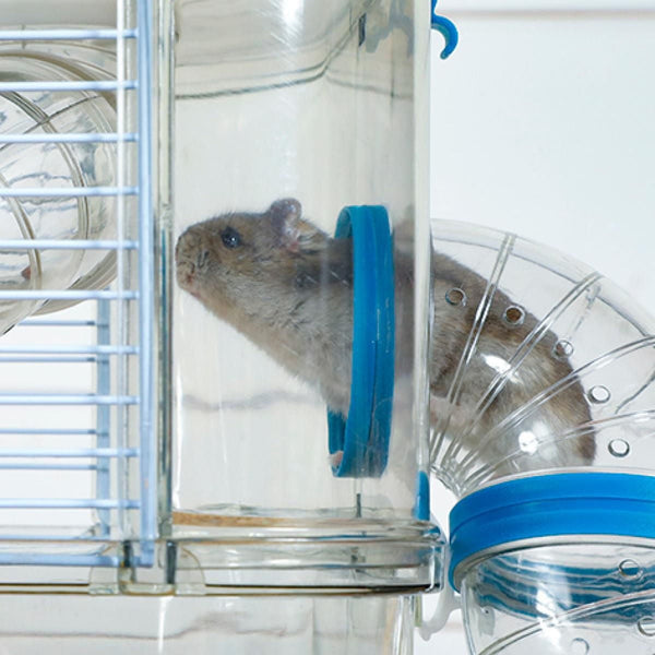 Rody3 Hamster Cage Blue