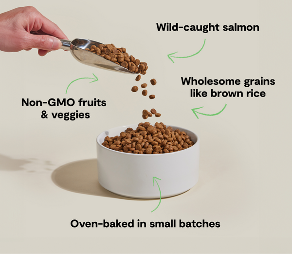 Open Farm Good Bowl Dog Kibble