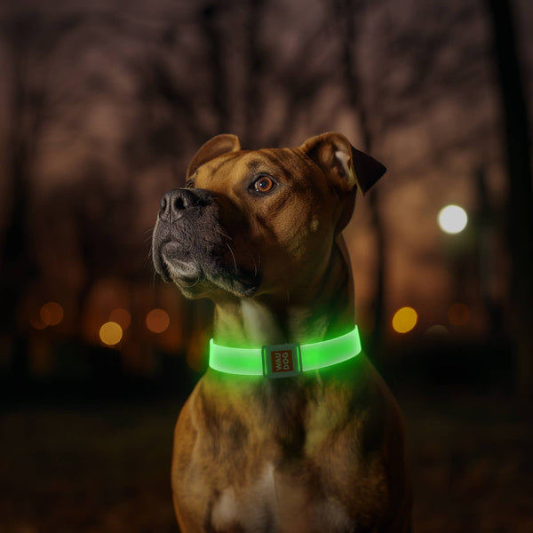 WAUDOG Led Collar — Bright Led, Adjustable Fit & Color