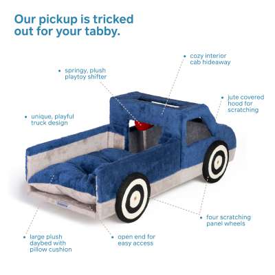 PREVUE Kitty-150 Pet Bed