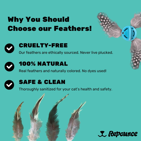 Forever Prey™ - World's First Refillable Feather Toy