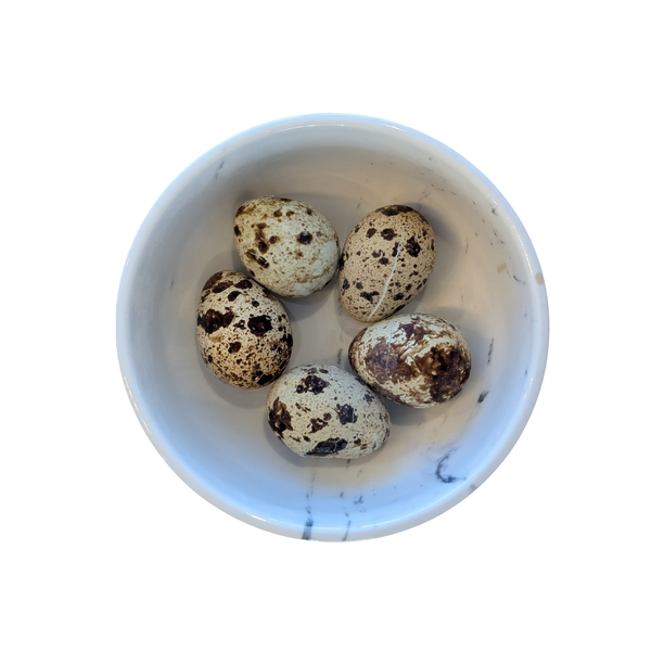 Mimiandsoso Quail Eggs