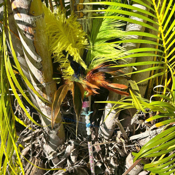 Larrikin Lorikeet Feather Teaser