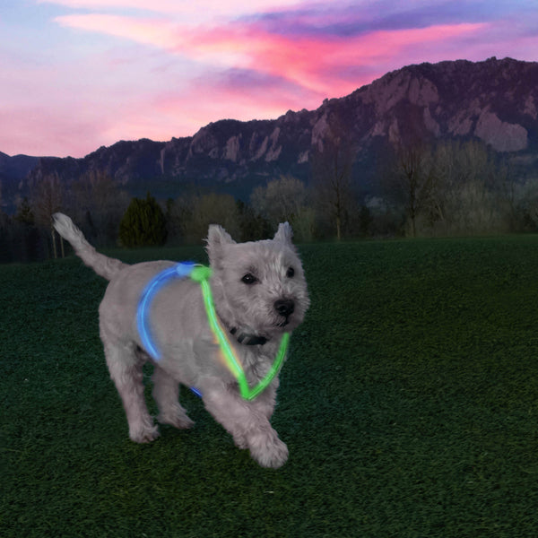 NEW NiteHowl Rechargeable Lite Suit Disc-O Select