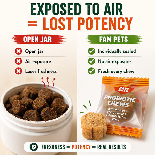 Fampets Probiotic Chews