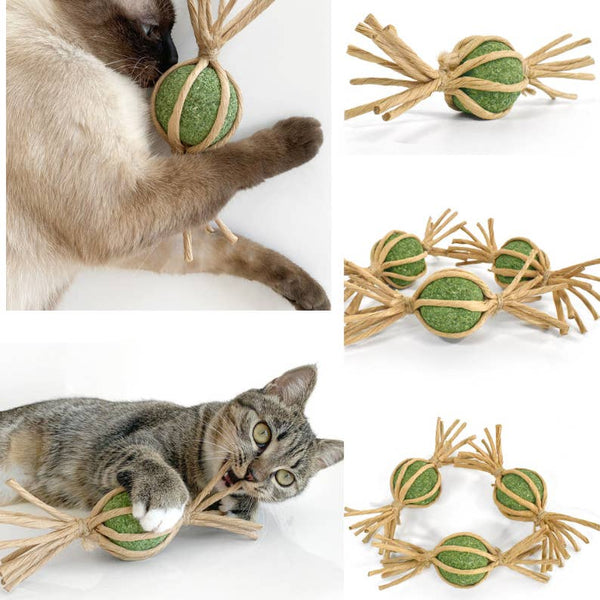 Woven Silvervine Gall Fruit Candy with Catnip Ball