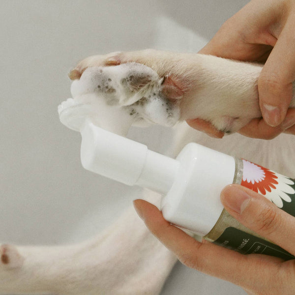 Dandylion Clean Paws No-Rinse Foaming Cleanser