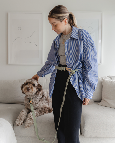Dexy Paws Waterproof Hands Free Leash 6ft