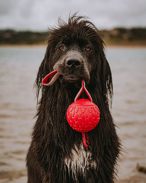 N-Gage Classic Jumbo