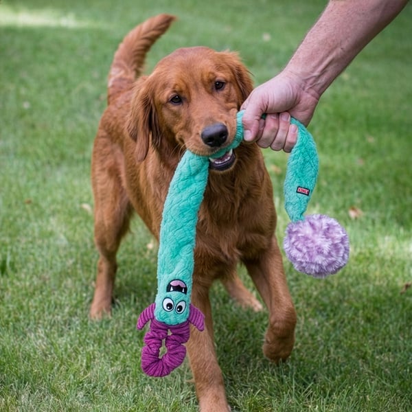 Kong Woozles Tug'n Chase Large/XL